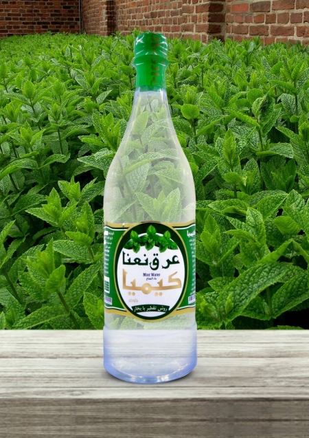 عرق نعنا