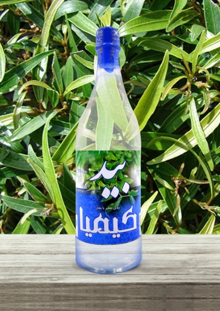 عرق بید